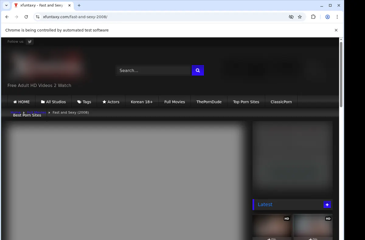 Xfuntaxy Video Downloader browser extension screenshot 2