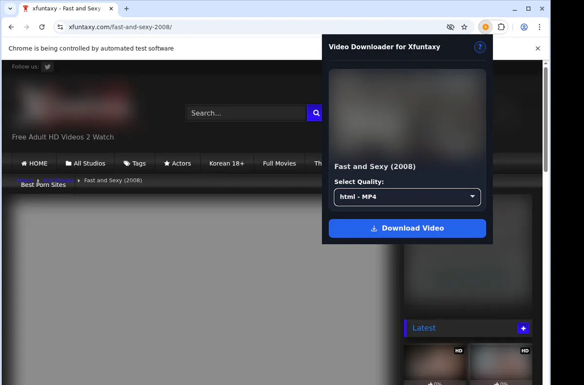 Xfuntaxy Video Downloader browser extension screenshot 3